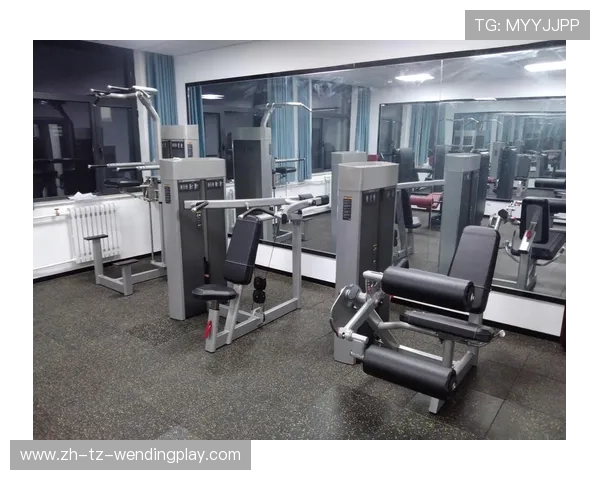 进口综合健身器材配置优势与进口流程解析